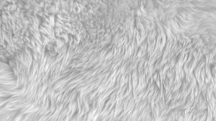 White wool texture background, light natural animal wool, white seamless cotton, texture of fluffy...