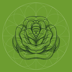 Elegant element of a stylized flower with smooth lines. Stylized floral element for design.
