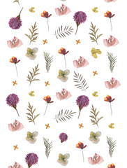 flat pressed dried flower pattern isolated on white background