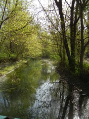 river in park