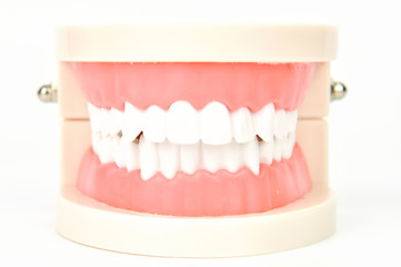 dentures on white background