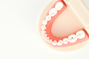 dentures on white background