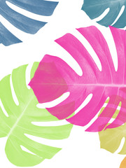 monstera color abstract fabric background 