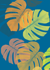 monstera color abstract fabric background 