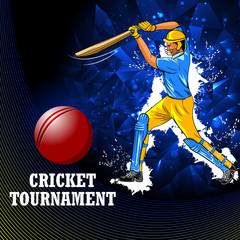 easy to edit vector illustration of player batsman in Cricket Championship Tournament background