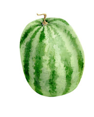 Watermelon on white background