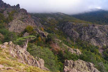 Wooded mountains of Corsica in the autumn