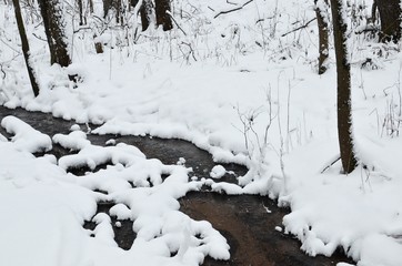Creek in a snowy forest. Manor Karabiha.Yaroslavl
