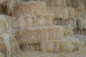 Bales of Straw in a shed for feeding horses