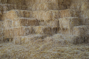 Bales of Straw in a shed for feeding horses