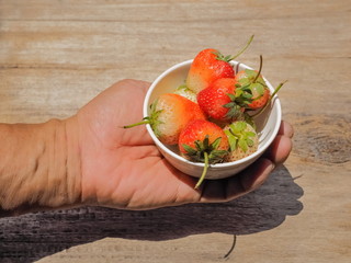 Red ripe strawberry in white dish on hand with wood texture blurred background.