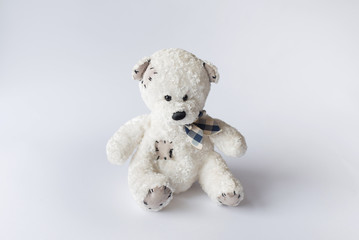 toy white teddy isolated on white background
