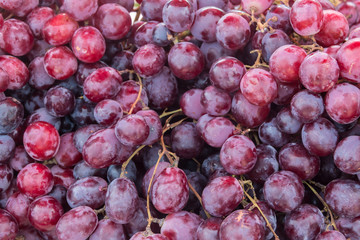 closeup grape