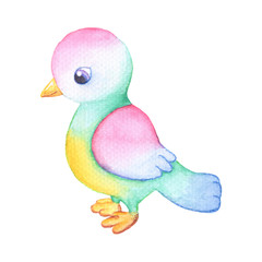 Cute colorful bird character on white background. Standing birdie watercolor illustration. Handdrawn bird with pastel pink feather