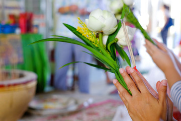 a white lotus in hand