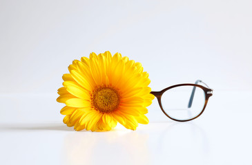 Occhiali da vista, fiore giallo, pezzuola e foglio stampato tabella optometrica su uno sfondo bianco - obrazy, fototapety, plakaty