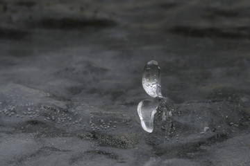 Lodowy kwiatek © Tomek Kiecana