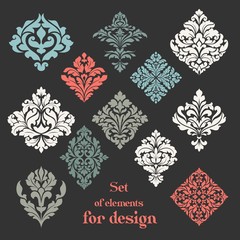 Set of ornamental floral elements for design.