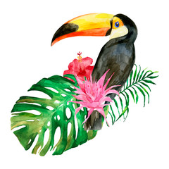 Watercolor portrait of toucan in the forest vector illustration. Exotic bird sitting on the tropical leaves with red flowers. Wild keel-billed tucan in jungle. Nature travel in Costa Rica, wildlife.