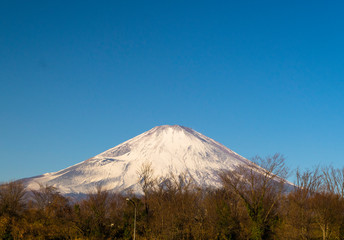 Fototapeta premium パーキングエリアから見た日本の富士山