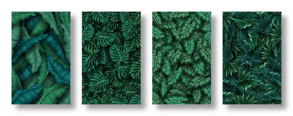 Set of tropical leaves background - obrazy, fototapety, plakaty