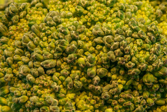broccoli etail texture background,green healthy vegetables
