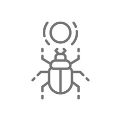 Egyptian scarab, beetle, sacred bug line icon.
