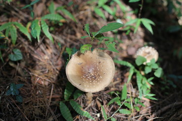 Corée du sud octobre 2018