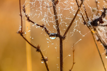 La-Grande-Motte Montpellier Herault 34 by Herc&eacute;