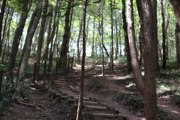 Fototapeta premium Corée du sud octobre 2018