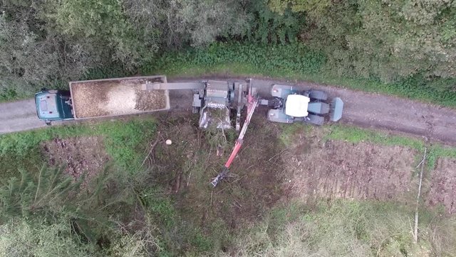 Aerial Traktor Hecksler H&auml;cksler zerkleinert Baum und bef&ouml;rdert ihn auf H&auml;nger