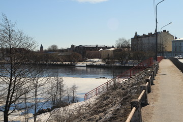   Cranes in the winter port