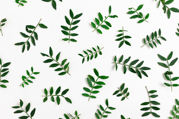 Fototapeta na wymiar Pattern made of pistachios branches