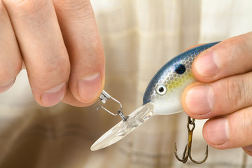 angler fastens the plug to a fishing line