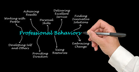 Components of Professional Behaviors