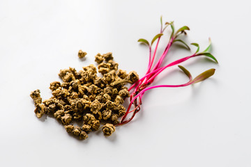 microgreen beet grain sprout