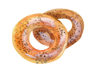 Watercolor realistic illustration of bagel isolated on white background. Two bagels on white.
