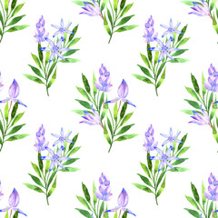 Sweet spring seamless pattern watercolor. Flowers primrose in hand drawn style. White background.