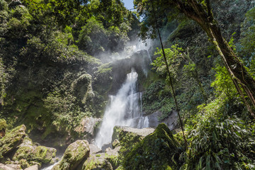 Fototapeta na wymiar Waterfall in the peruvian jungle