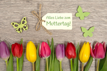 Tulpen zum Muttertag