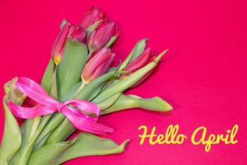 Banner hello april. Hi spring. The second month of spring. Welcome card