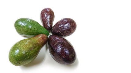 Closeup Shot at A Group of Avacados / Avocadoes / Alligator Pear (Persea americana).  Isolated or Die Cut on White Background with Copy Space for Text.