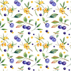 Seamless pattern of branch e berries of buckthorn and sloe