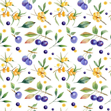 Seamless Pattern Of Branch E Berries Of Buckthorn And Sloe