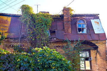 Old two-storey red brick house with iron damaged roof in poor condition entwined with ivy