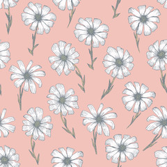 Tender coral seamless pattern with white chamomile flowers. Retro pink hand drawn illustration of beautiful gerbera flower, texture for textile, wrapping paper, surface, background
