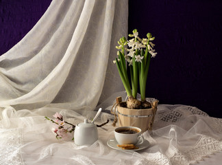 Still life with hyacinth