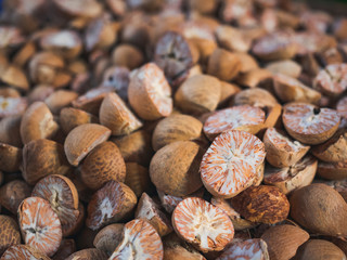 Betel nut cut in pieces Fruit of Areca palm