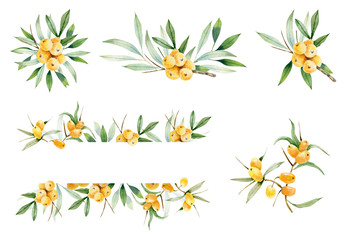 Decorative  compositions of branches of sea-buckthorn