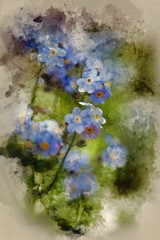 Watercolour painting of Vibrant forget-me-not Spring flowers with textured and vignette effect added